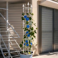 Garden trellis pack for sale Garden trellis pack for sale  NORTHAMPTON