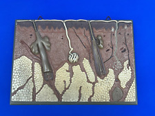 Hautmodell anatomie somso gebraucht kaufen  Dillenburg