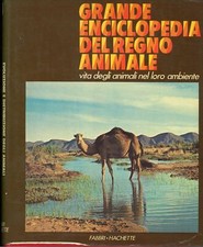 Grande enciclopedia del usato  Monza