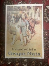 Grape nuts school for sale  Los Angeles