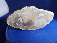 Kentucky agate. for sale  Lexington