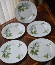 Paragon trillium five for sale  WARMINSTER