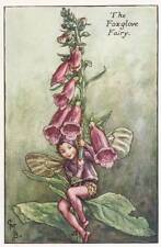 Flower fairies foxglove for sale  MOLD