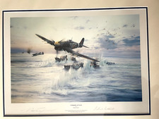 Typhoon attack robert for sale  MARKET RASEN