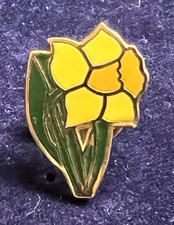 Welsh daffodil david for sale  STONEHAVEN