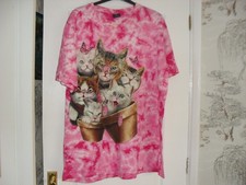 fantastic kittens for sale  GREAT YARMOUTH