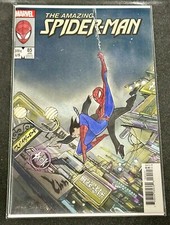 The amazing spider usato  Roma