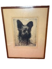 Signed joseph pierre for sale  Fuquay Varina