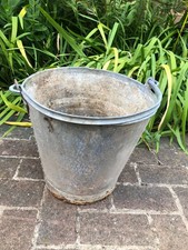 Metal bucket planter for sale  EASTLEIGH