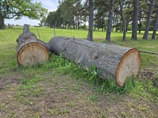 Huge oak pieces for sale  Moundville