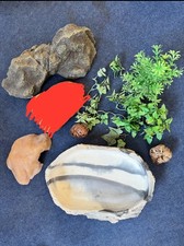 Terrarium deko zubehör gebraucht kaufen  Kahl a.Main
