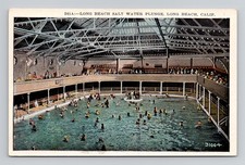 Salt water plunge for sale  Bennington