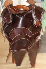 Mittelalter lederrüstung epic gebraucht kaufen  Groß Kummerfeld