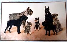 Schnauzer colour print for sale  GAINSBOROUGH