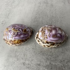 Pair tiger cowrie for sale  Wilmore