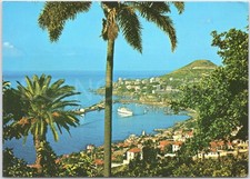Cartão postal vintage porto do Funchal madeira Portugal vista panorâmica navios comprar usado  Enviando para Brazil