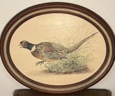 Michael antonopulos pheasant for sale  Cotati