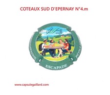 Capsule champagne coteaux d'occasion  Courcy
