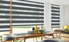 Allbright zebra window for sale  Independence