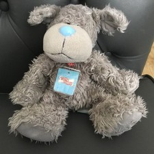 Tatty puppy for sale  ASHFORD