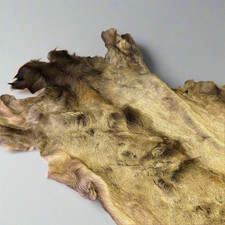 Large real elk for sale  Salt Lake City