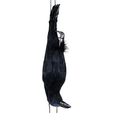 Dead crow scare for sale  Redondo Beach