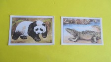 Animaux sauvages lot d'occasion  Calonne-Ricouart