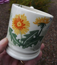2021 emma bridgewater for sale  BELFAST