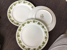 Eschenbach ceranova hartporzel gebraucht kaufen  Abensberg
