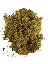 Muschio ottima qualità usato  Napoli