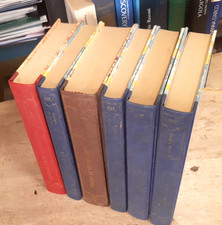 Evergreen grande biblioteca usato  Mignanego