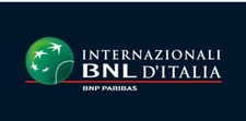 Biglietti internazionali bnl usato  San Giuliano Milanese