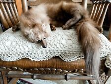 Stone marten fur for sale  Livonia