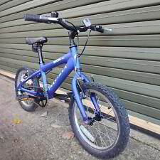 Ridgeback mx16 kids for sale  HEREFORD