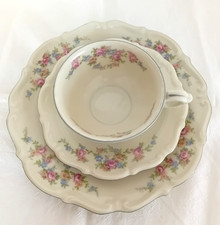 Sammeltasse sammelgedeck tiels gebraucht kaufen  Meschede