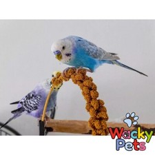 Millet sprays quality for sale  MIDDLESBROUGH
