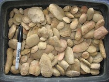 Pennsylvanian mazon creek for sale  WAKEFIELD