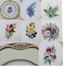 Choice woodmere flowers for sale  Dallas