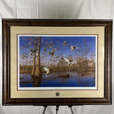 Ducks unlimited 2013 for sale  Fort Wayne