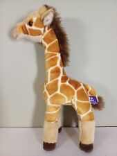 Giraffe twycross zoo for sale  ALCESTER