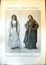 Old print lily for sale Old print lily for sale  UK