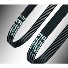 Ptibelt rippenband 5 gebraucht kaufen  Nordhorn