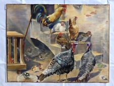 galline galli usato galline galli usato Reggio Emilia