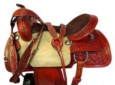 Western trail arabian for sale  Atlanta