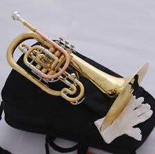 Nuovo mellophone professionale usato  Spedire a Italy