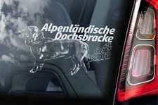 Alpenlandische dachsbracke ade usato  Spedire a Italy