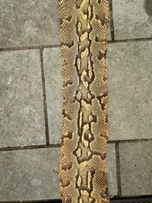 Python leather skin for sale  FARNHAM