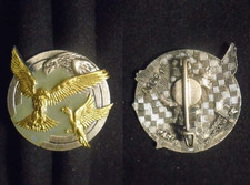 Insigne militaire groupement d'occasion  Meung-sur-Loire