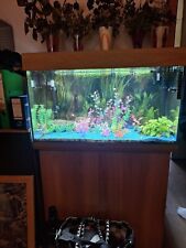 Juwel rio 125 gebraucht kaufen  Bad Aibling