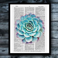 Watercolor succulent bright for sale  Montgomery